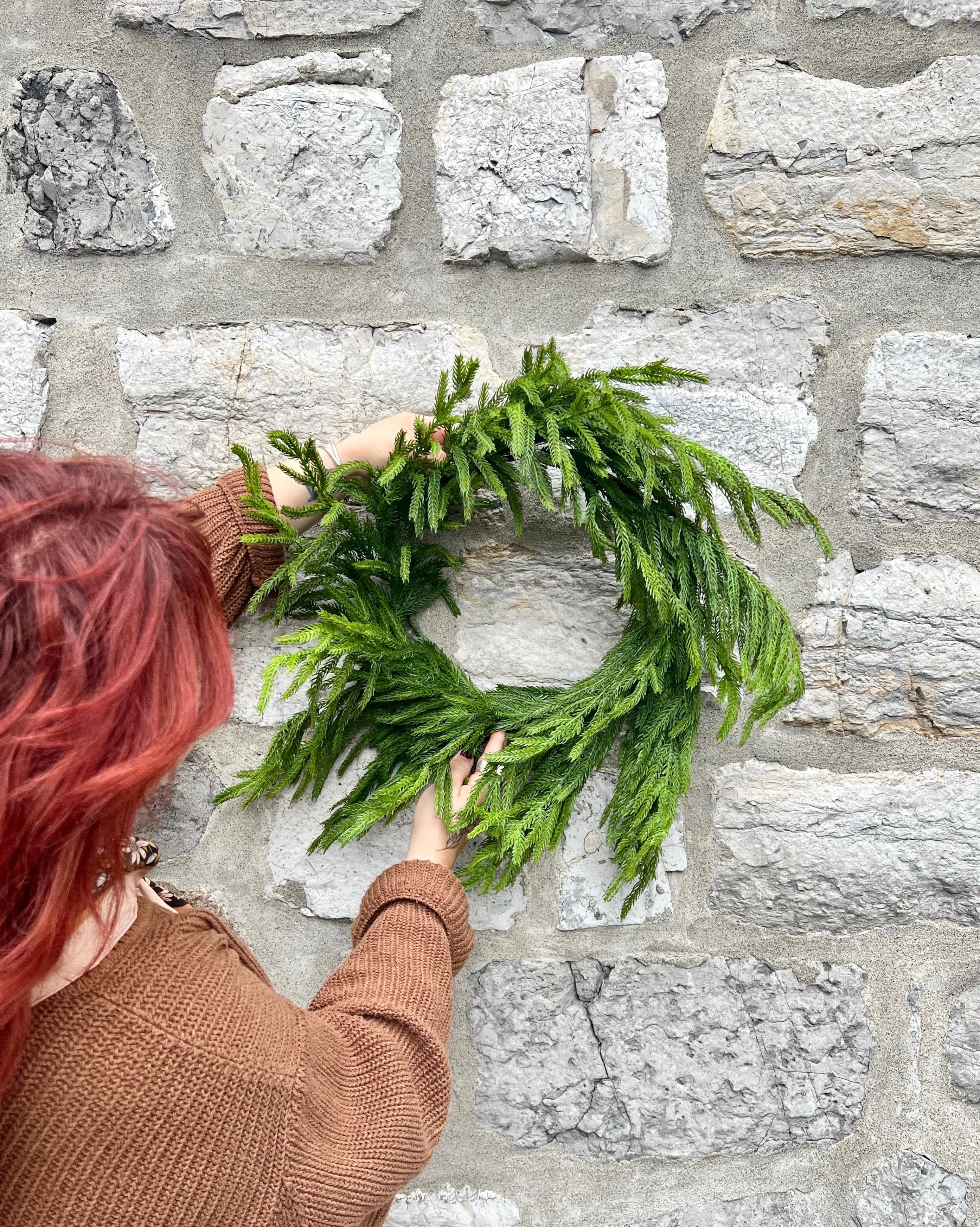 24” Fresh Touch Norfolk Pine Wreath
