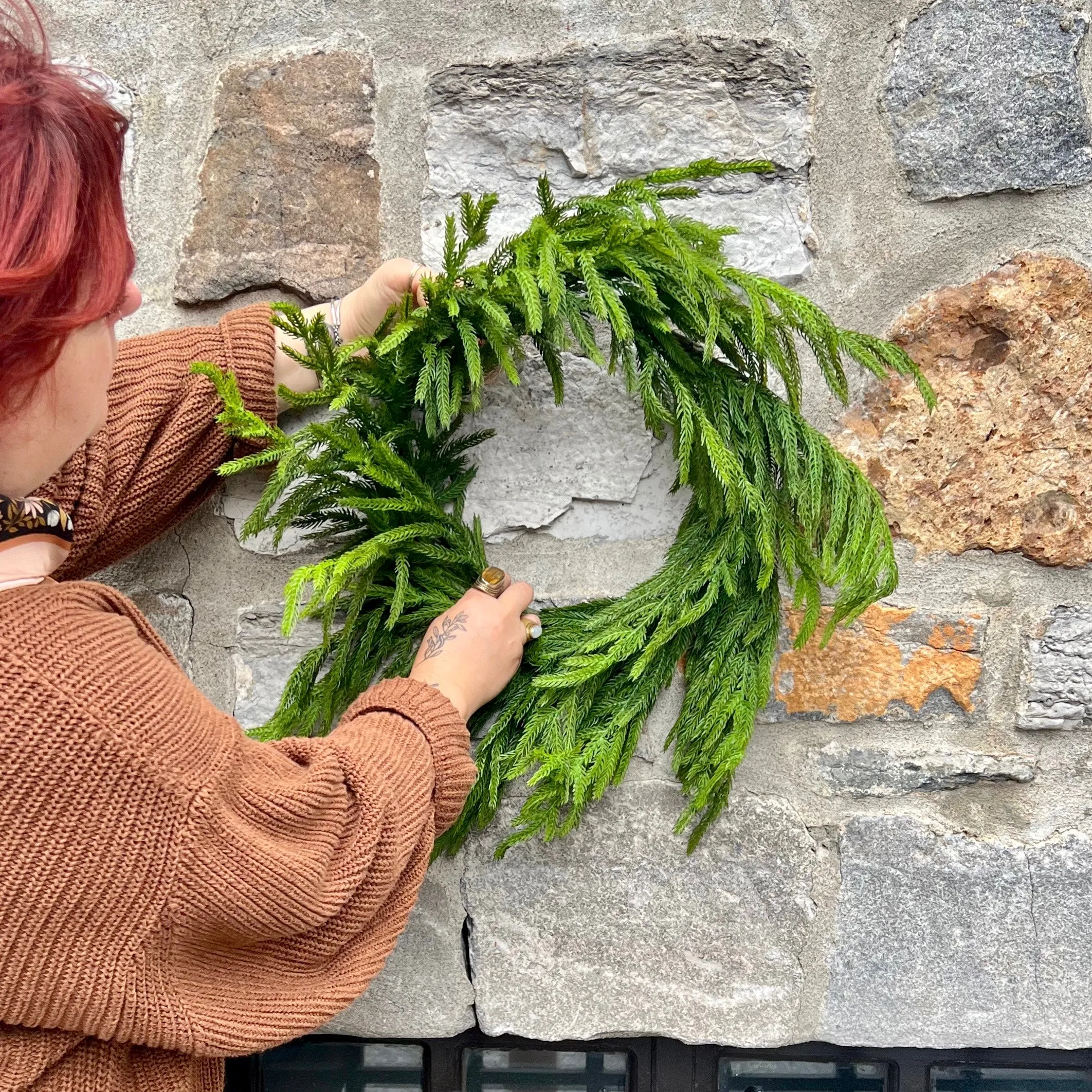 24” Fresh Touch Norfolk Pine Wreath