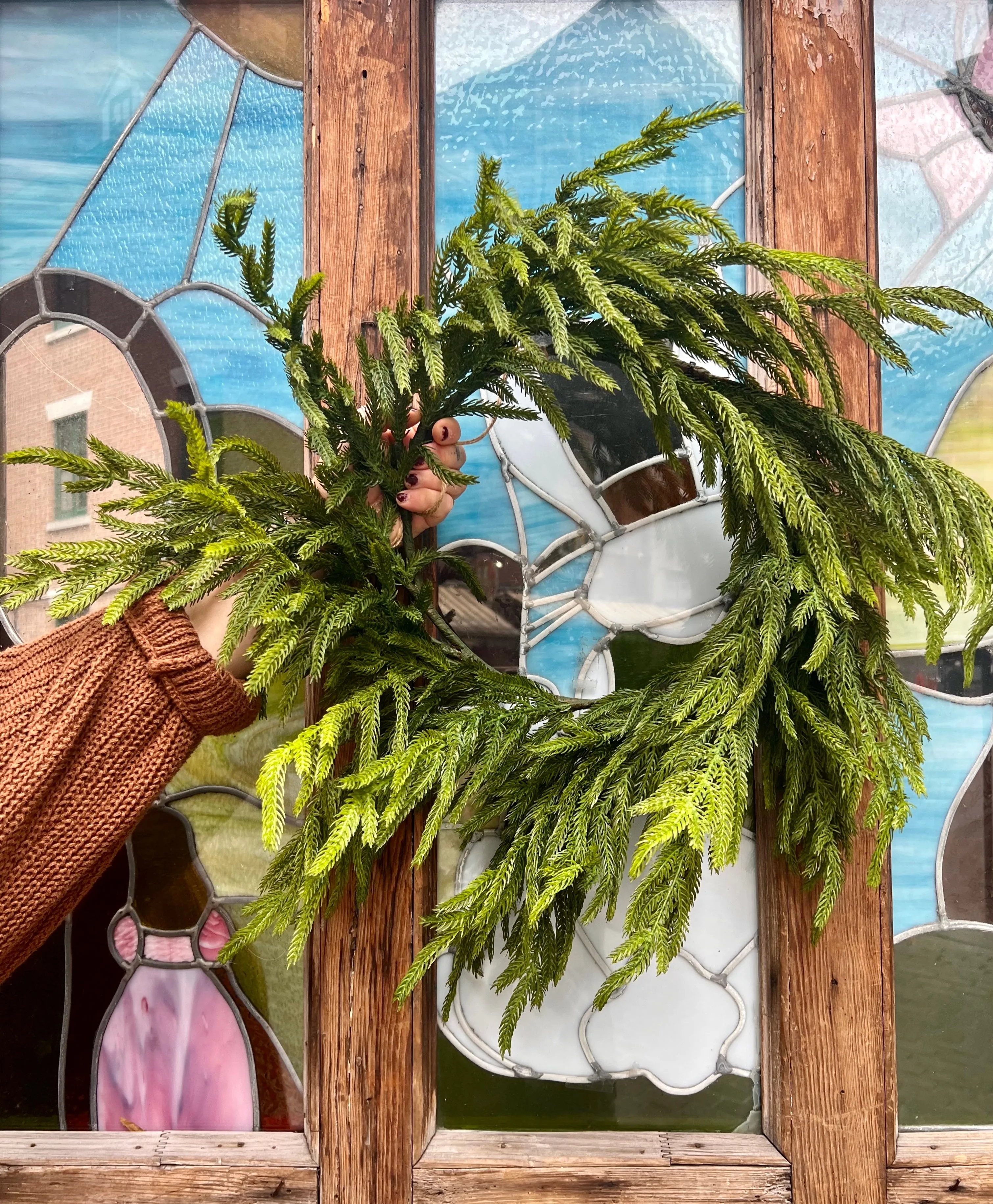 24” Fresh Touch Norfolk Pine Wreath