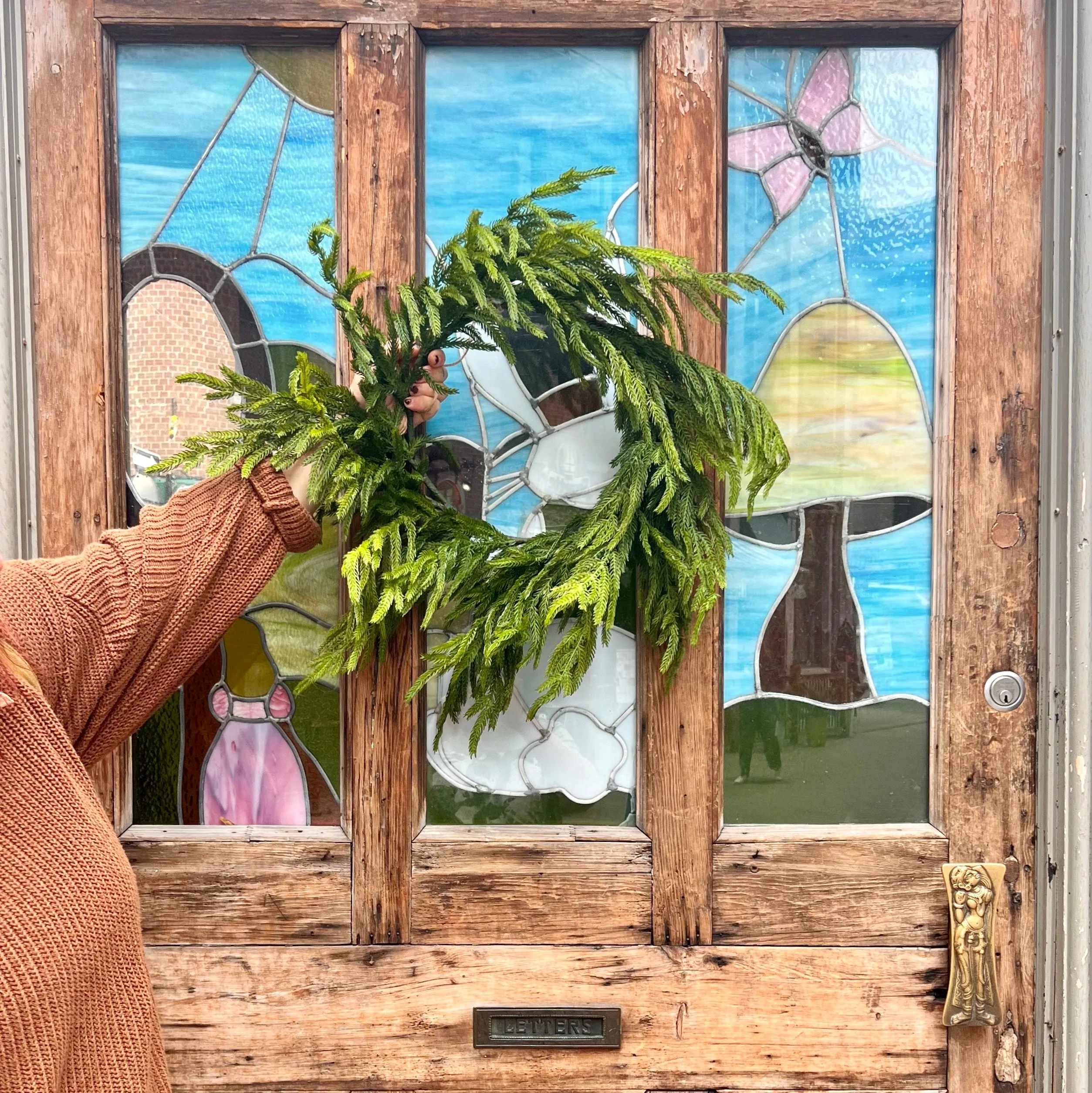 24” Fresh Touch Norfolk Pine Wreath