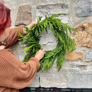 24” Fresh Touch Norfolk Pine Wreath